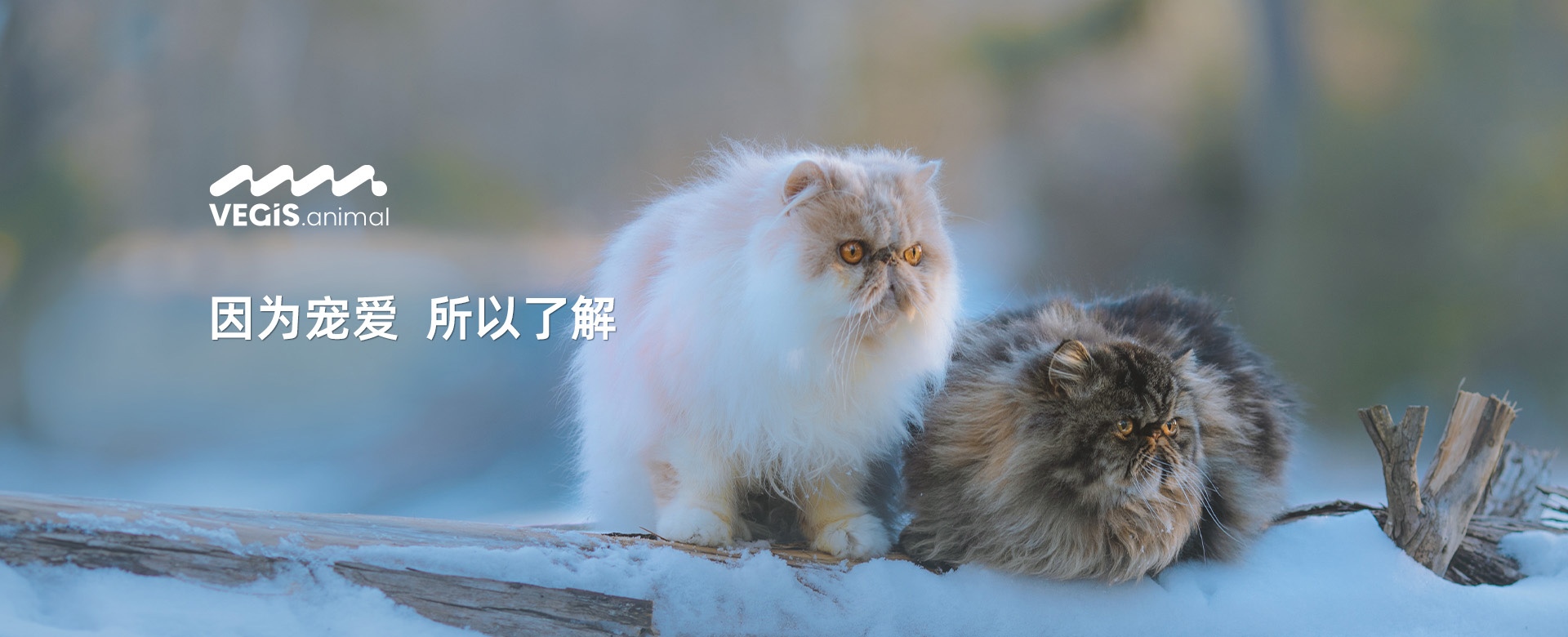 常见问题